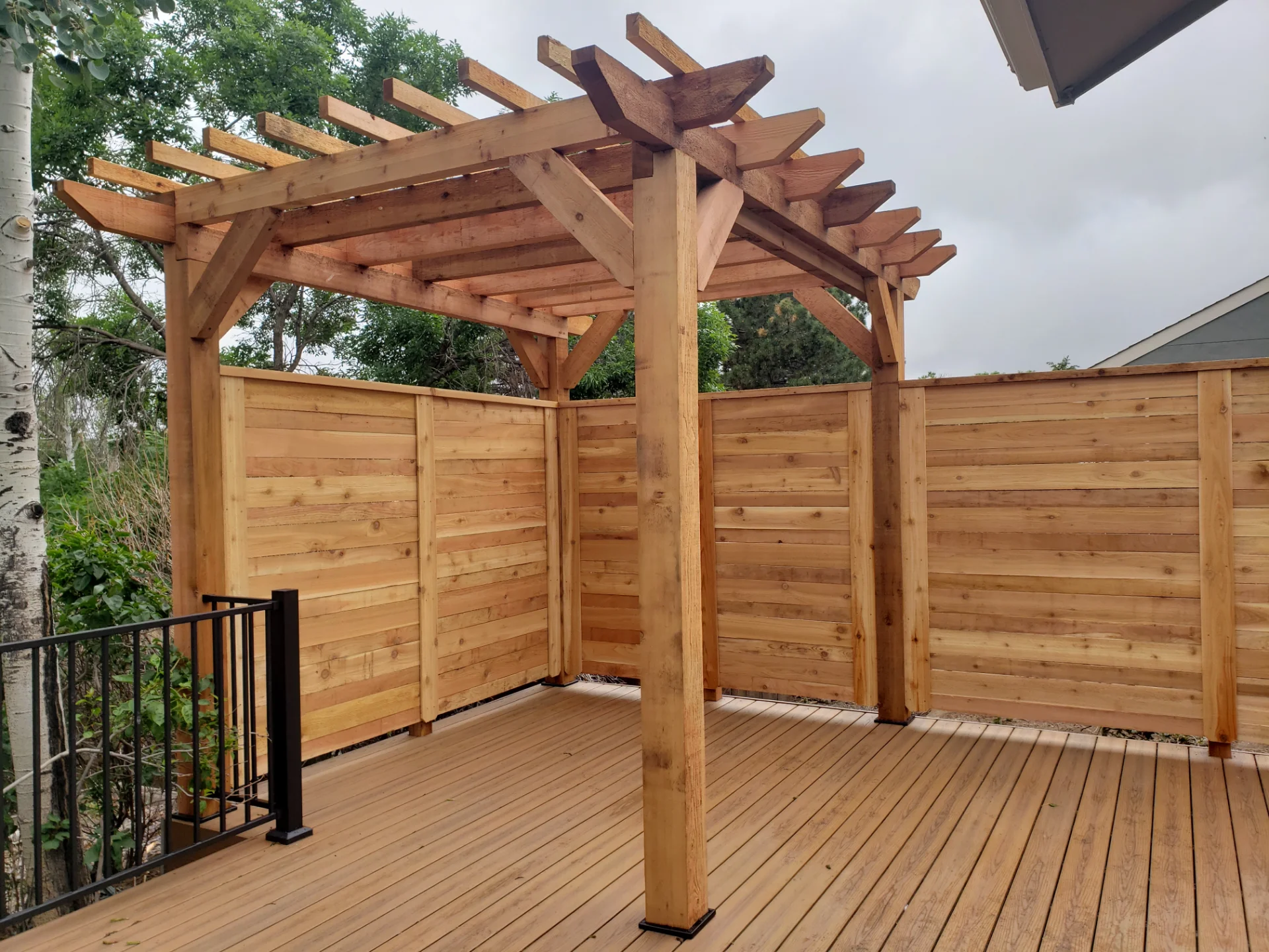 Cedar & Douglas Fir