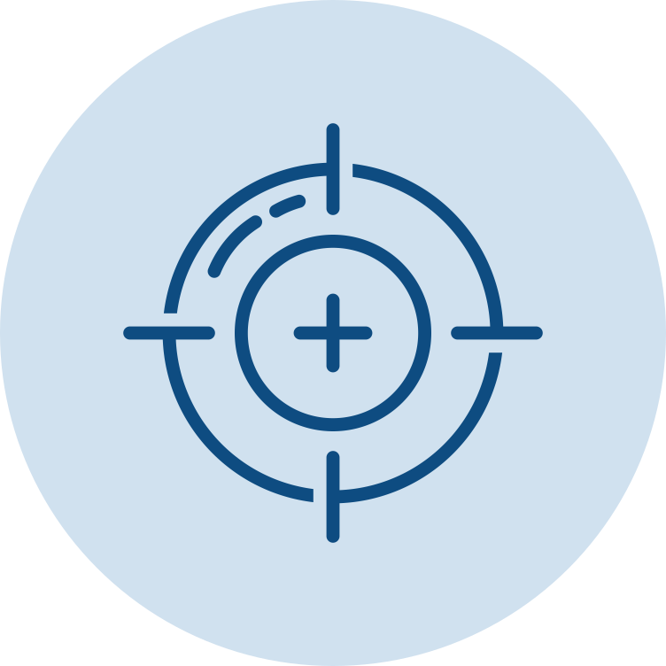precision icon